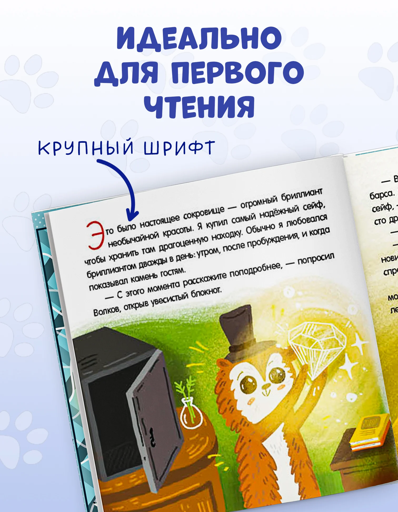 תמונת מוצר 5
