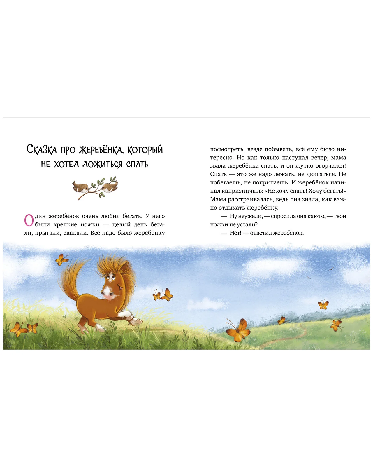 תמונת מוצר 14