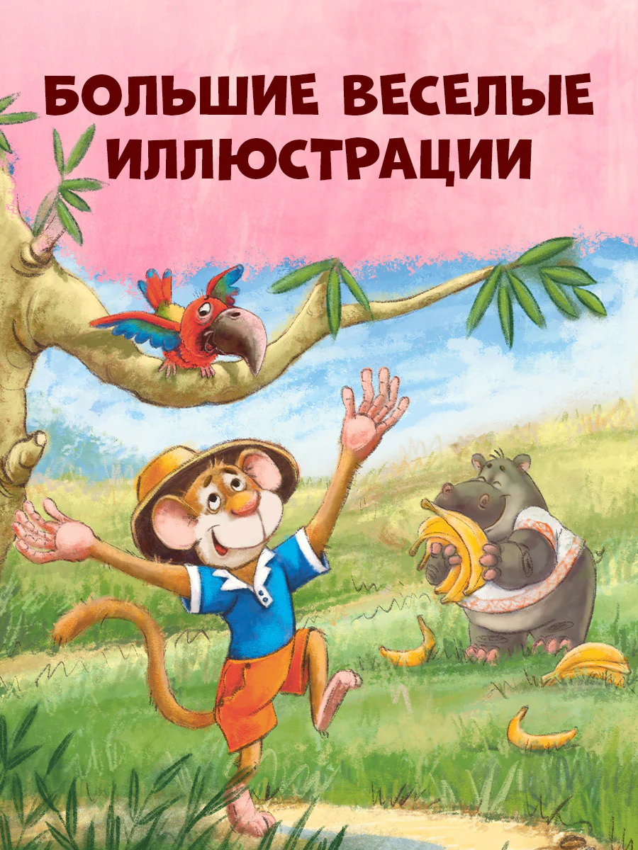 תמונת מוצר 6