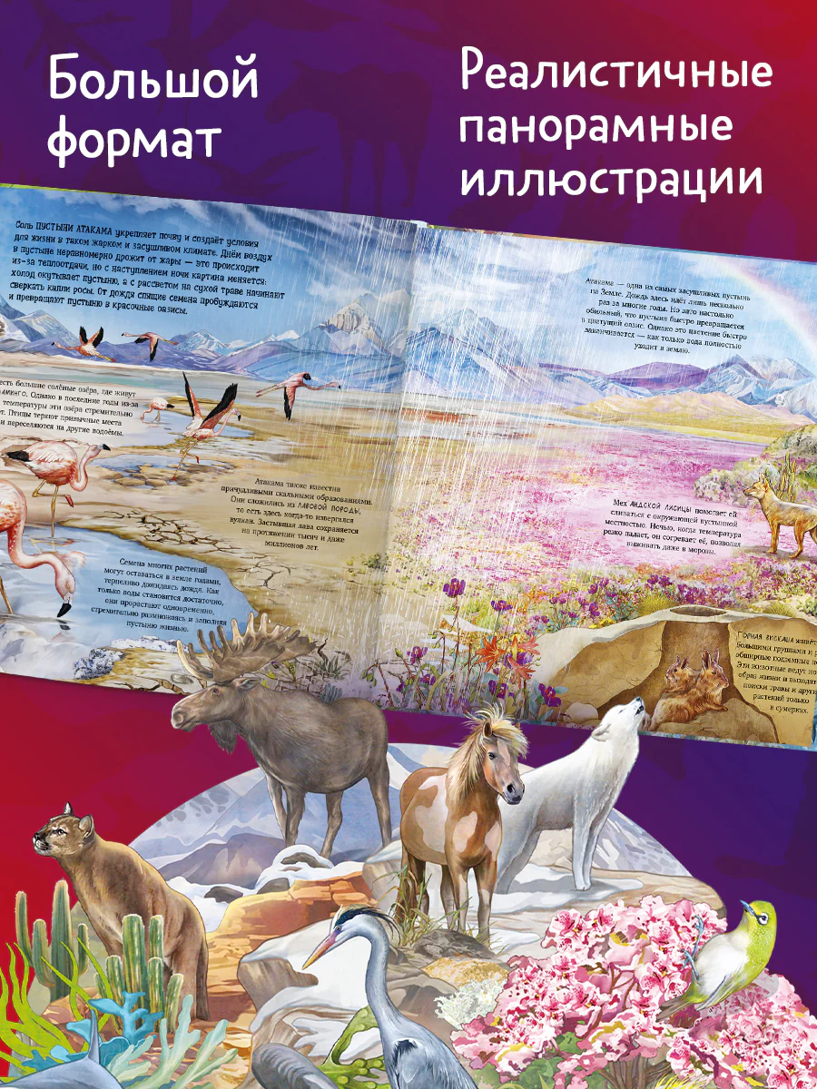 תמונת מוצר 4