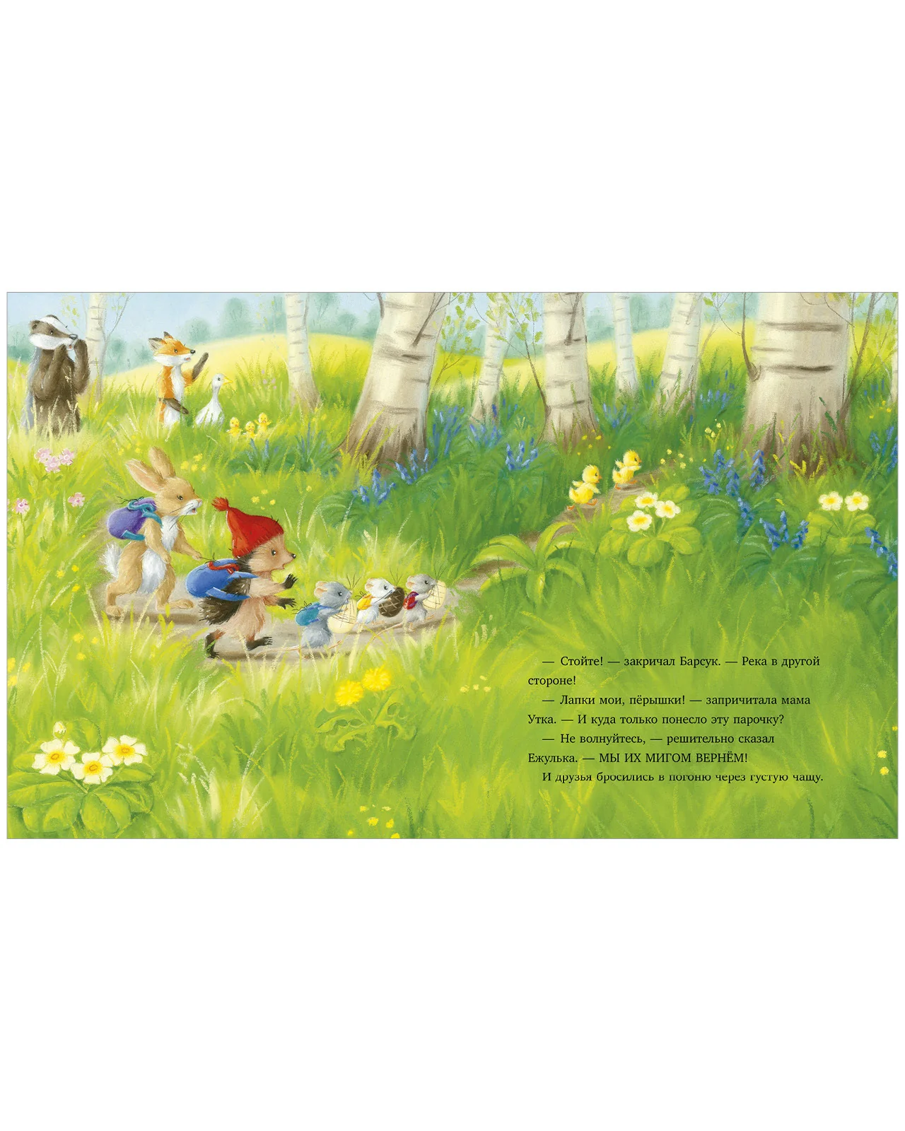 תמונת מוצר 14
