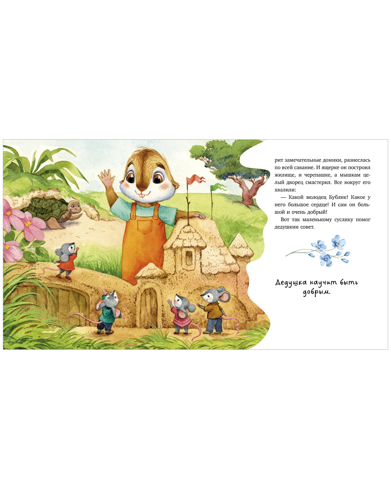 תמונת מוצר 12