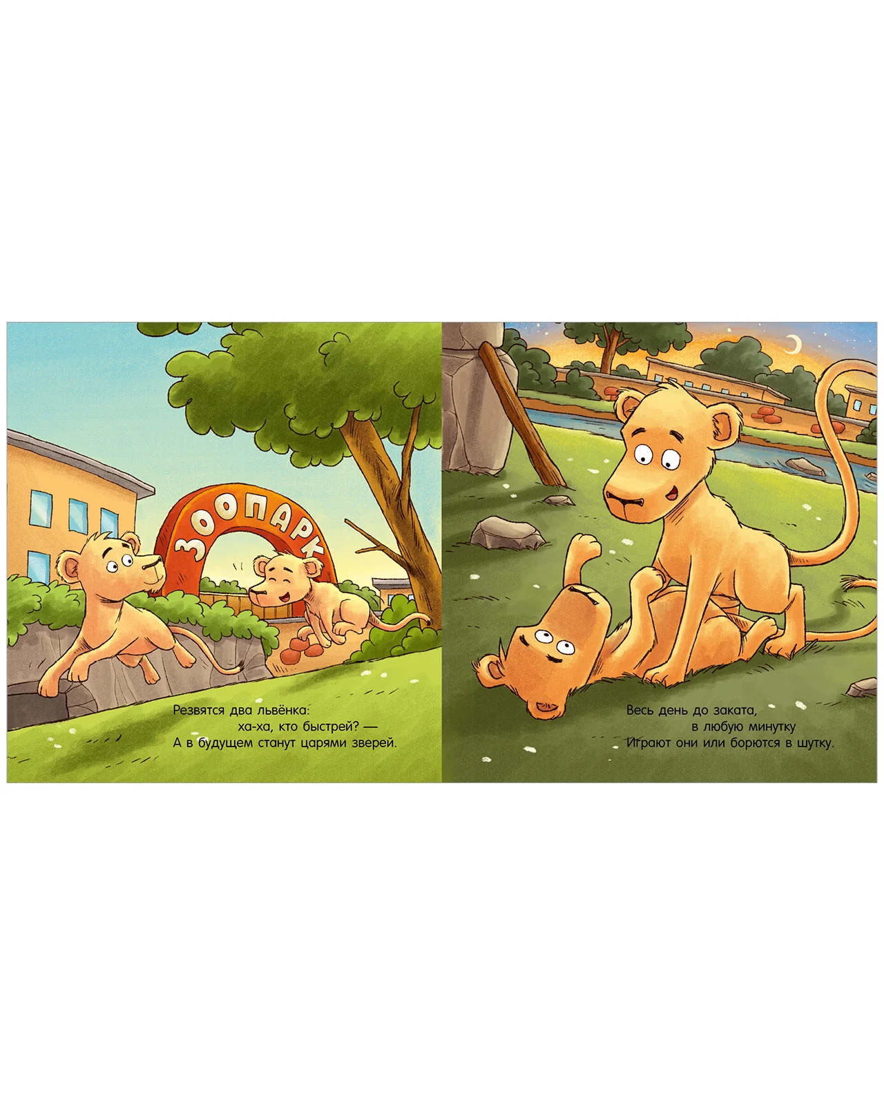 תמונת מוצר 11