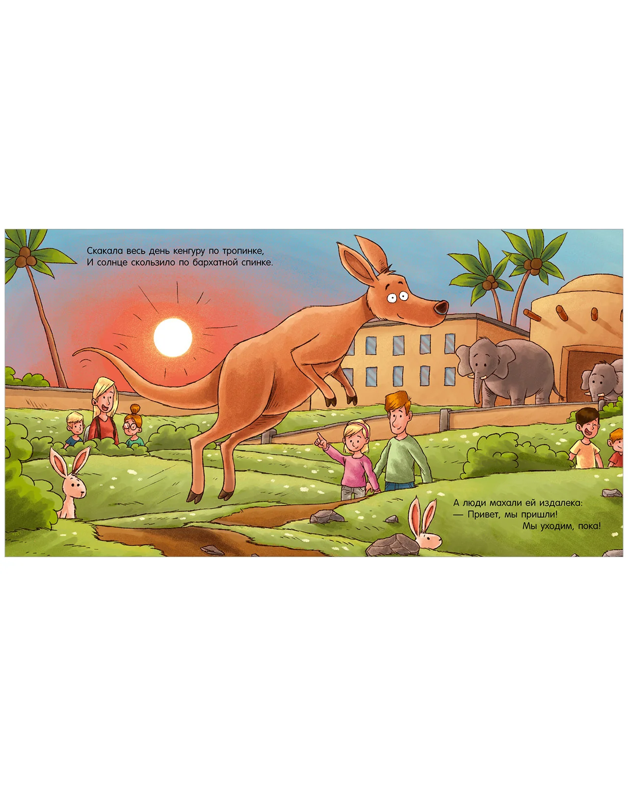 תמונת מוצר 14