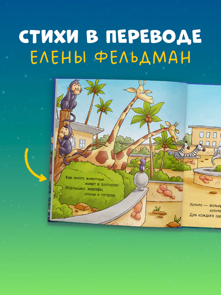 תמונת מוצר 4