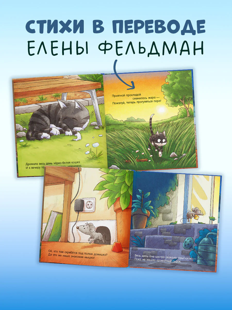 תמונת מוצר 4