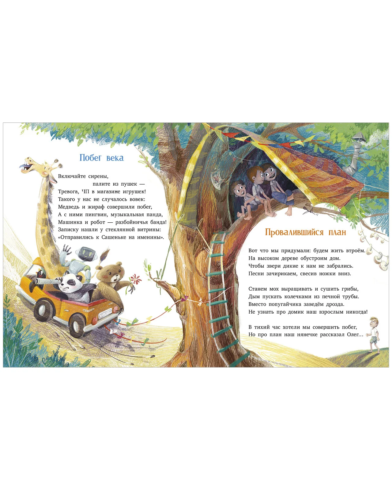 תמונת מוצר 12