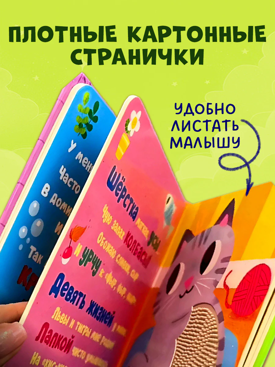 תמונת מוצר 6
