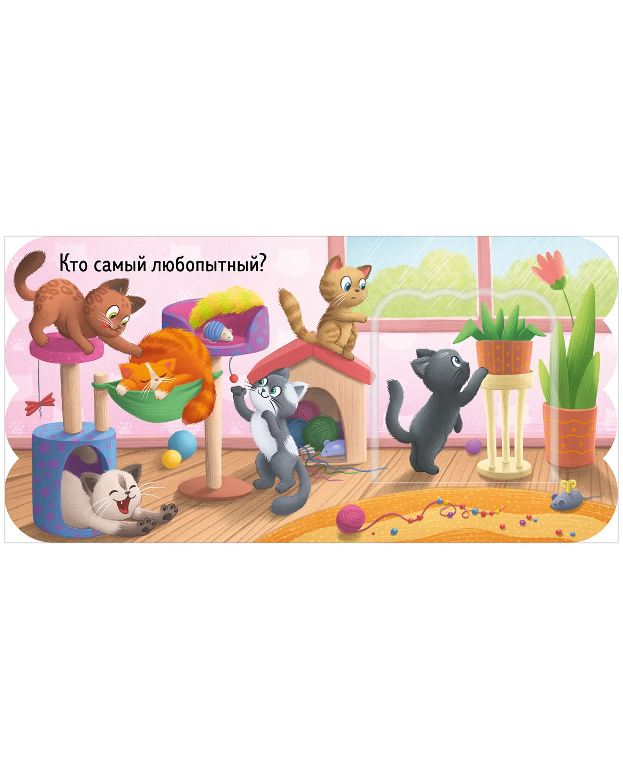 תמונת מוצר 14