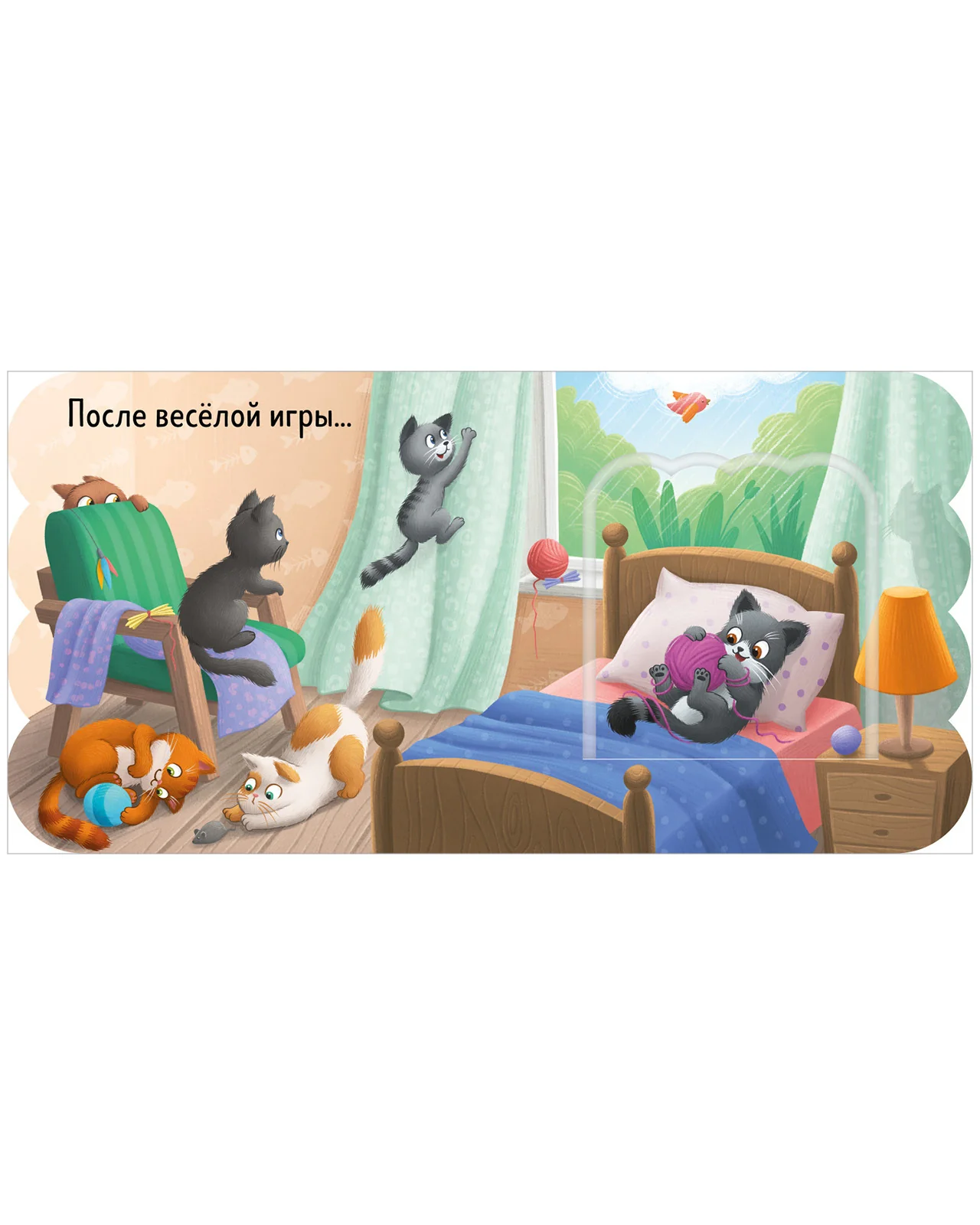תמונת מוצר 15