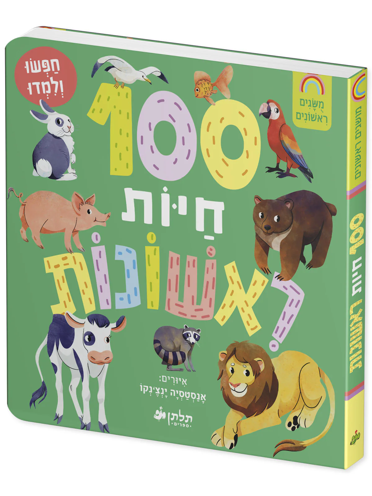 תמונת מוצר 2
