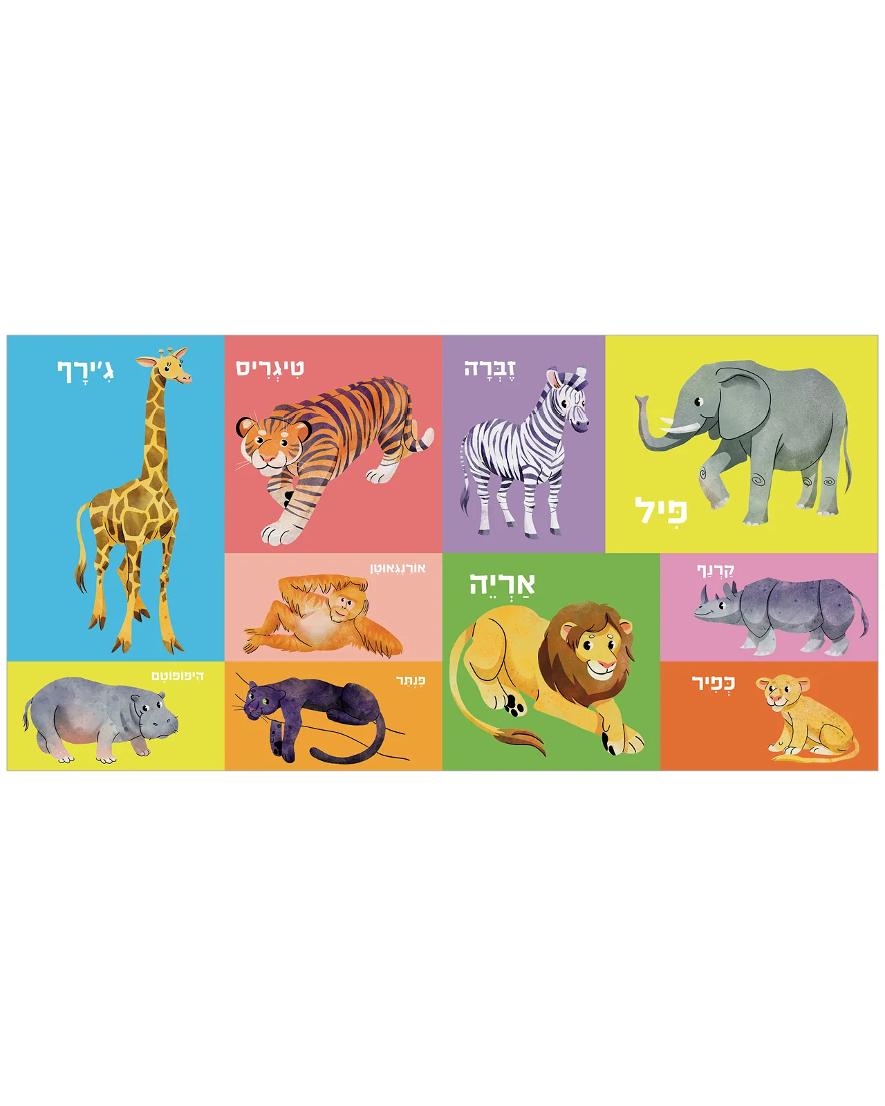 תמונת מוצר 7