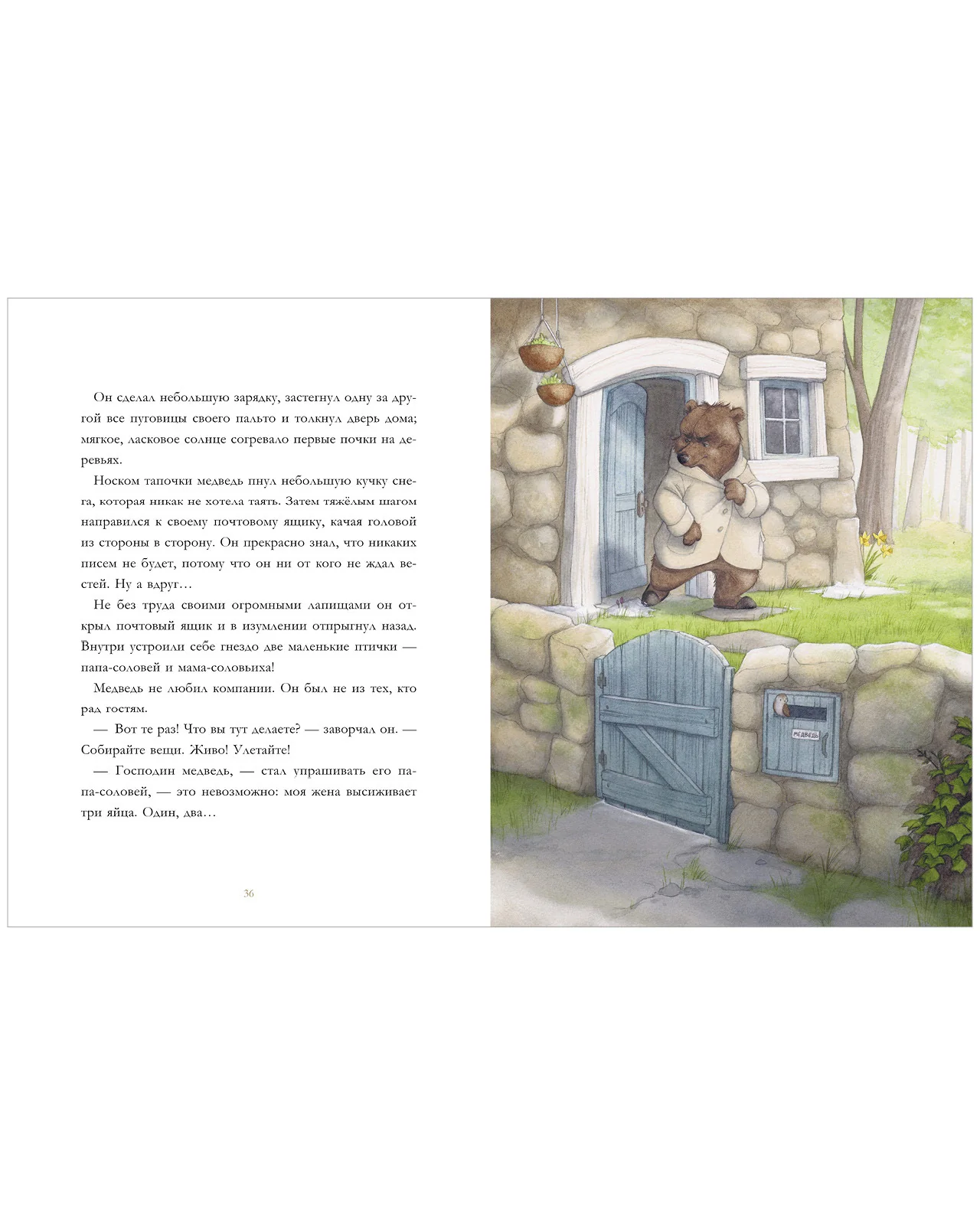 תמונת מוצר 15