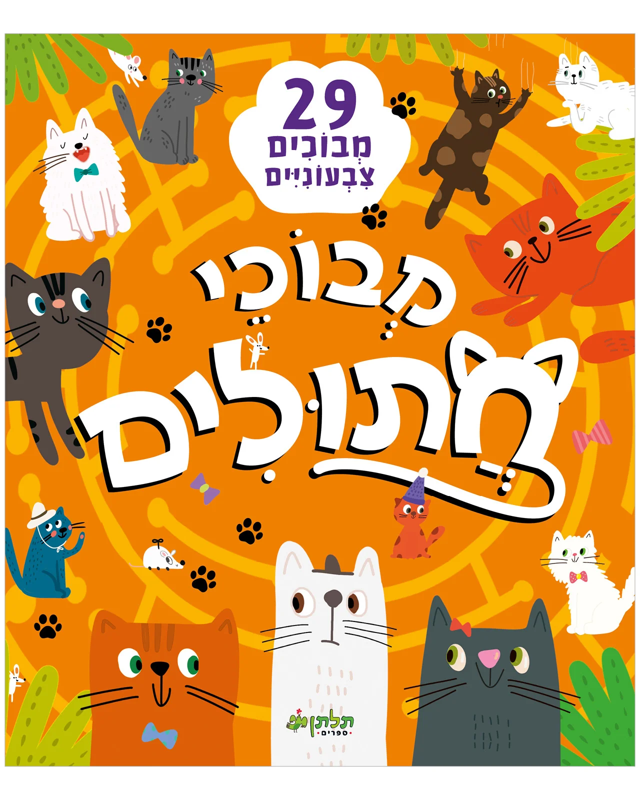 תמונת מוצר 1