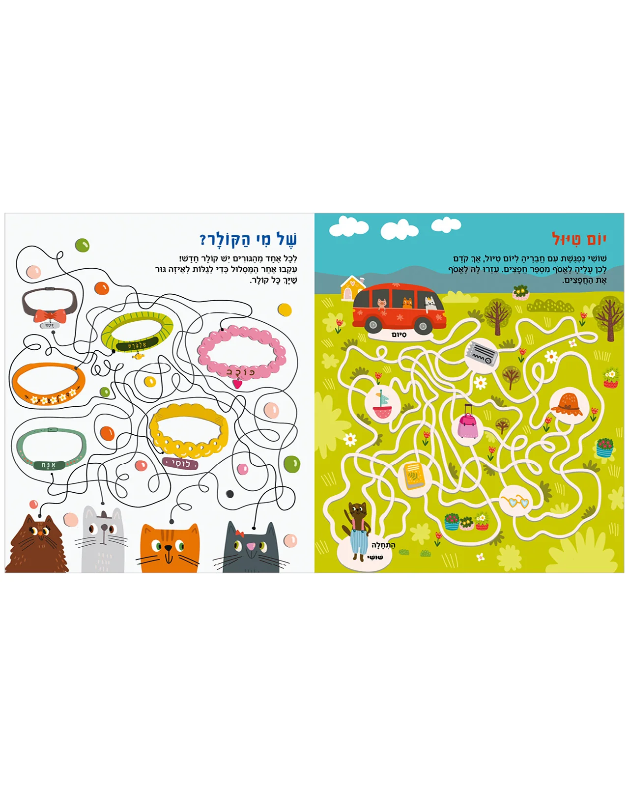 תמונת מוצר 5