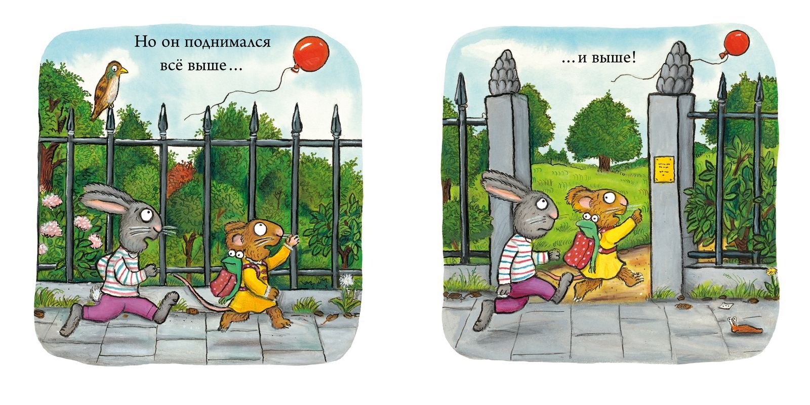תמונת מוצר 10