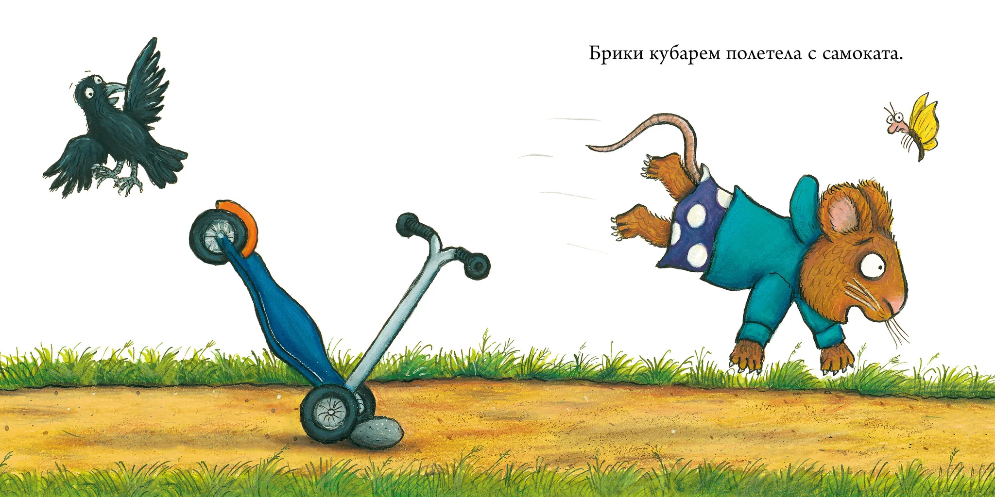 תמונת מוצר 14