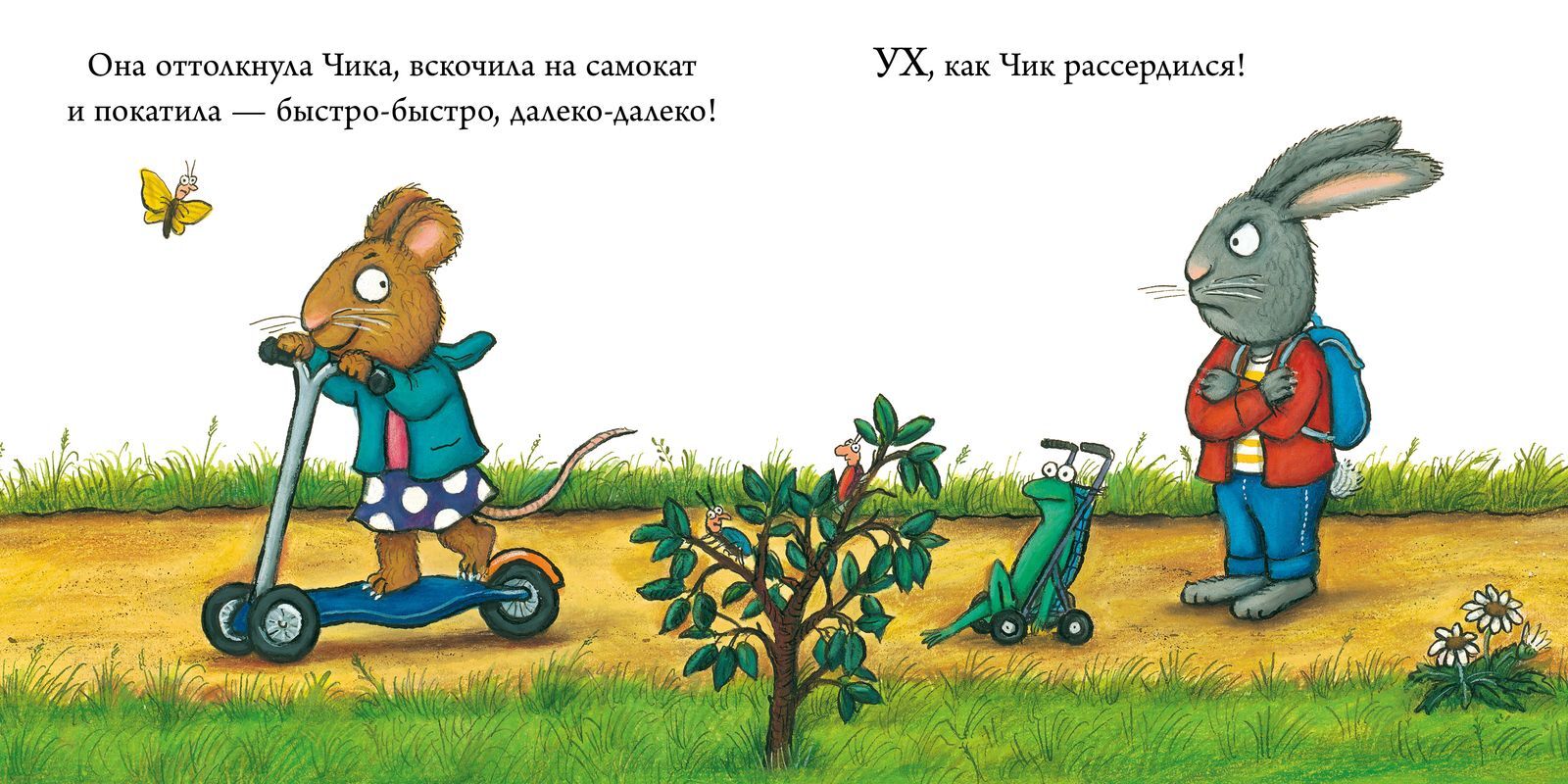 תמונת מוצר 13