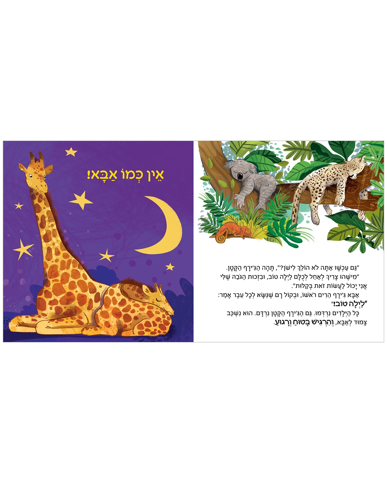 תמונת מוצר 3