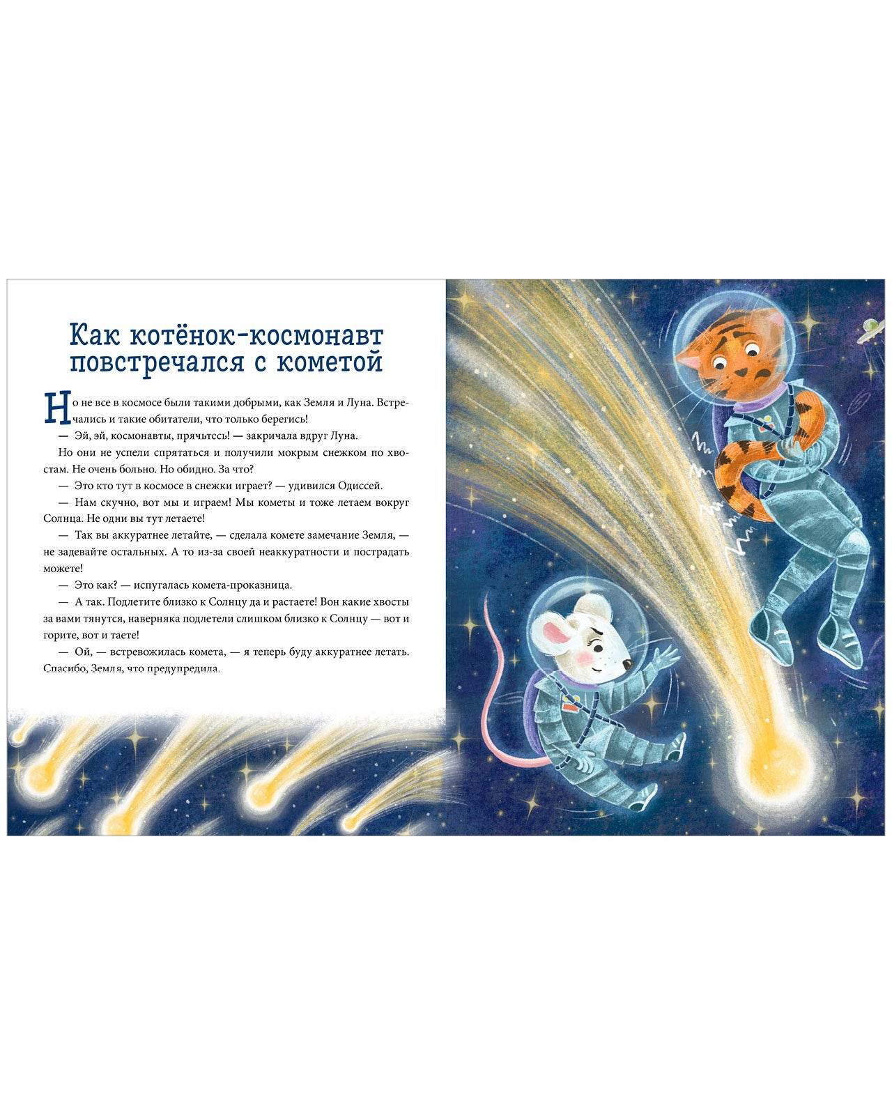 תמונת מוצר 13