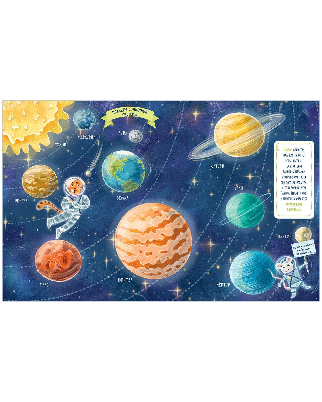 תמונת מוצר 15