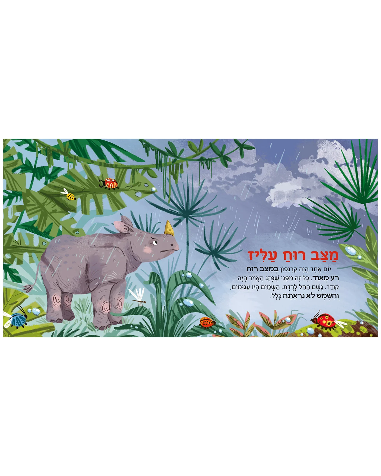 תמונת מוצר 4