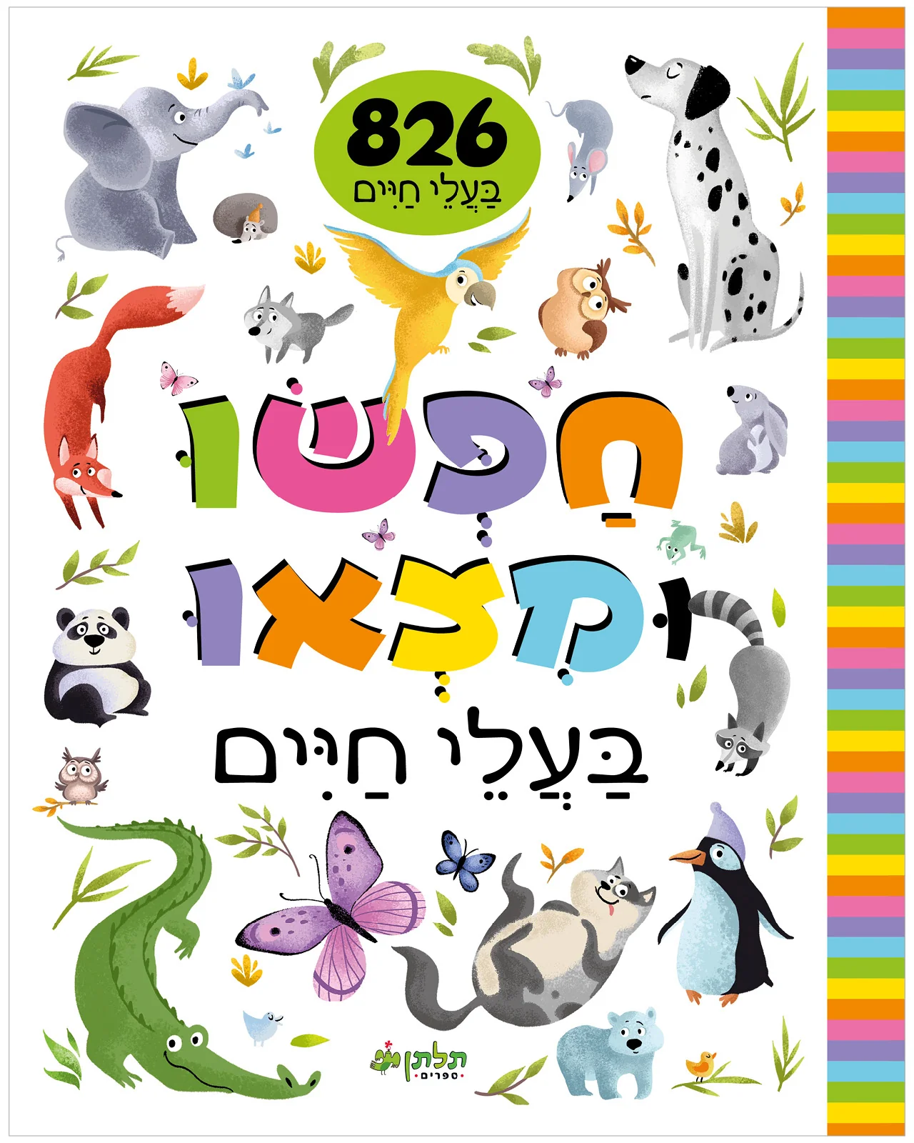 תמונת מוצר 1