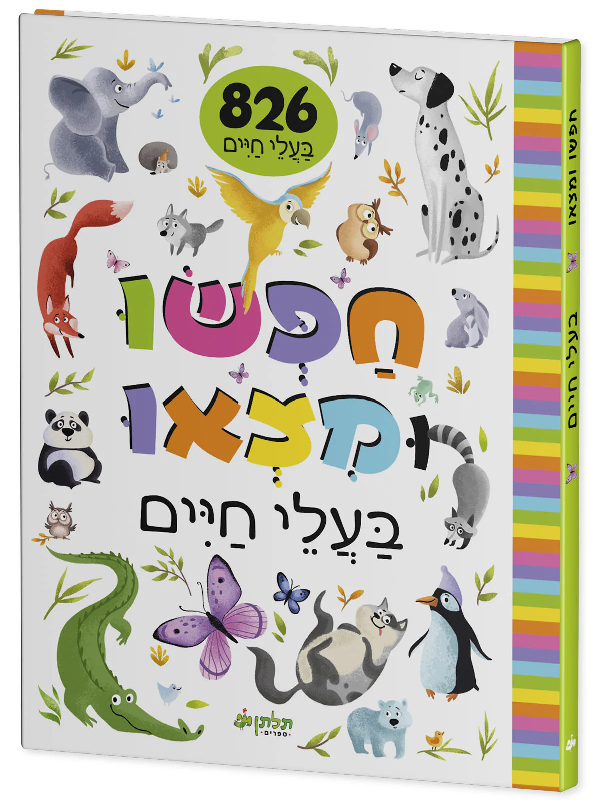 תמונת מוצר 2