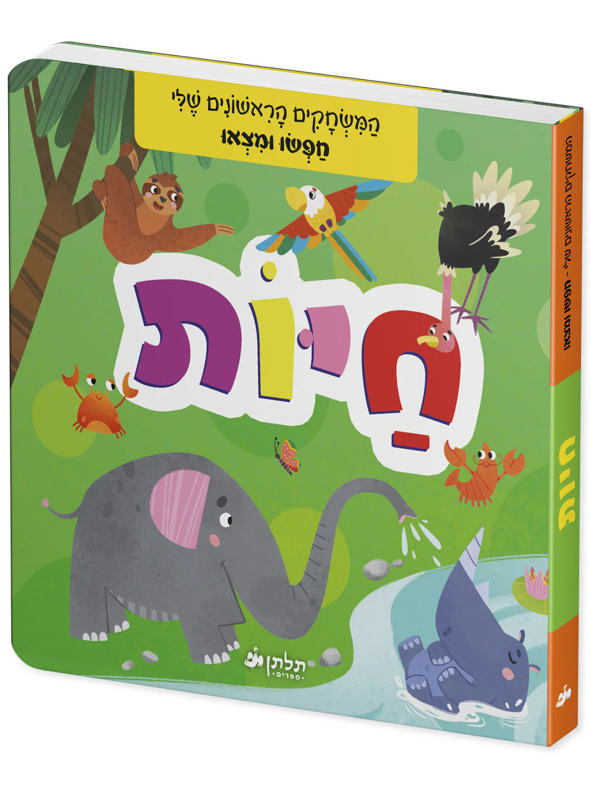תמונת מוצר 2