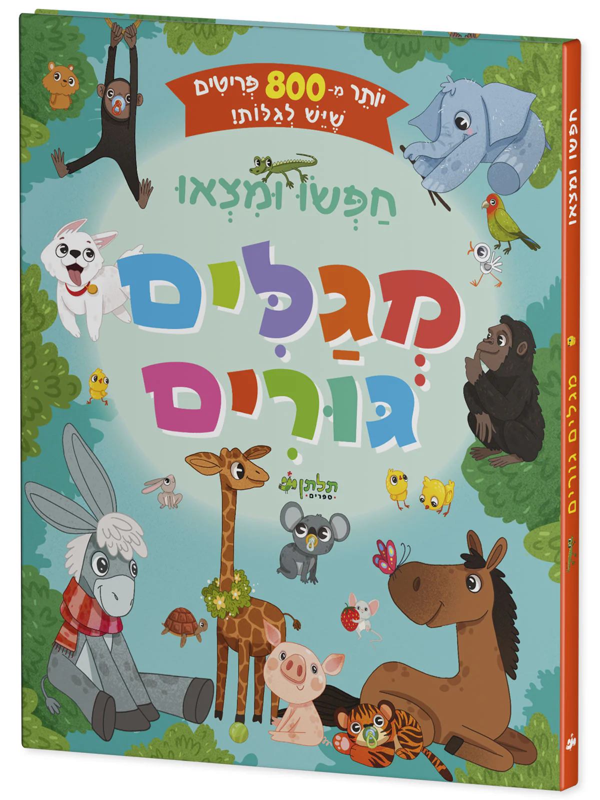 תמונת מוצר 2