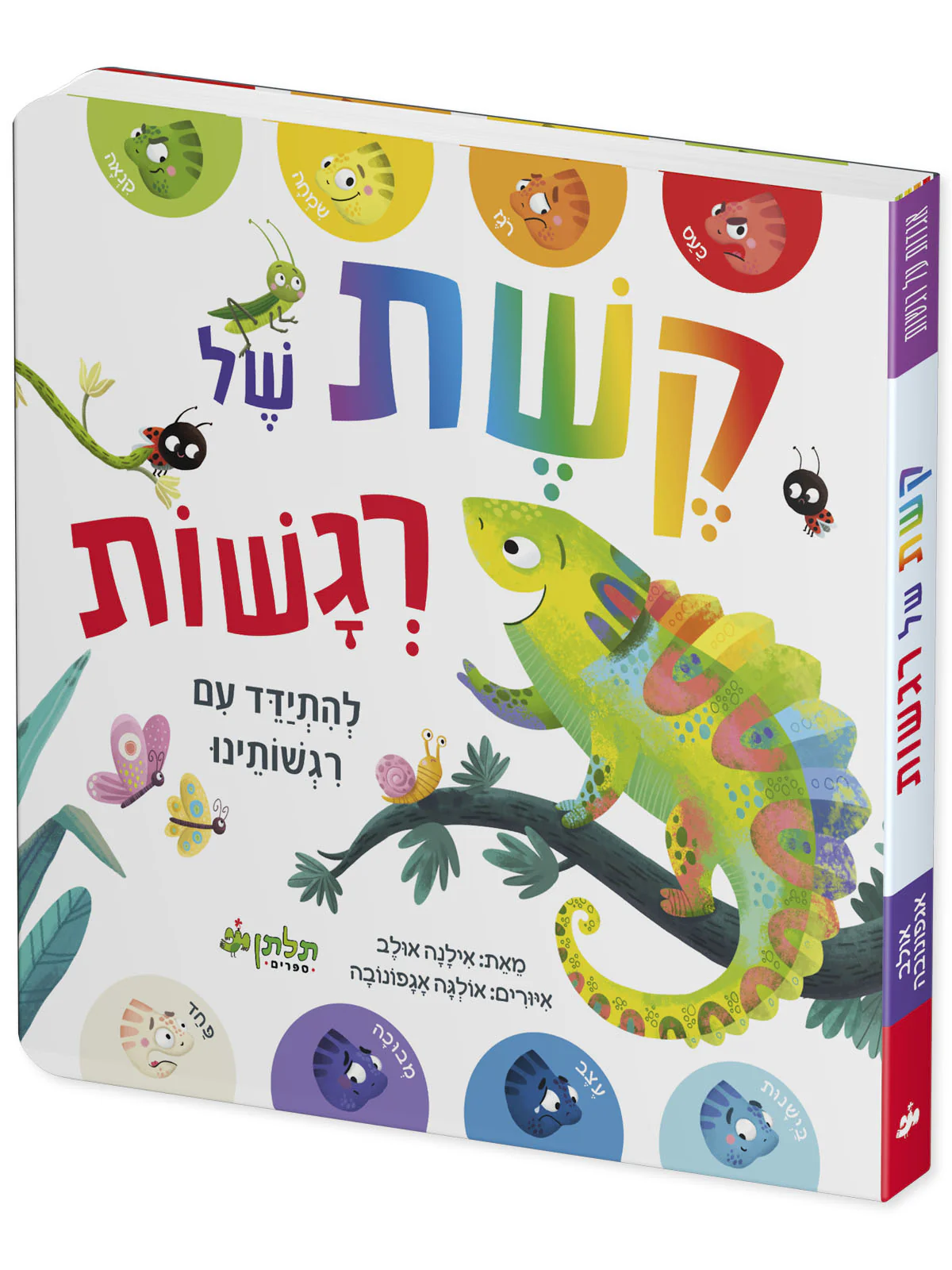 תמונת מוצר 2