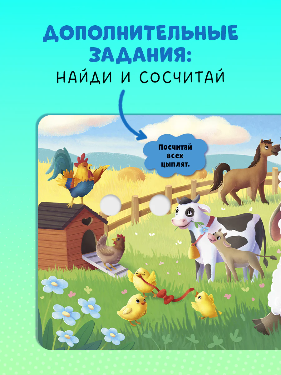 תמונת מוצר 4