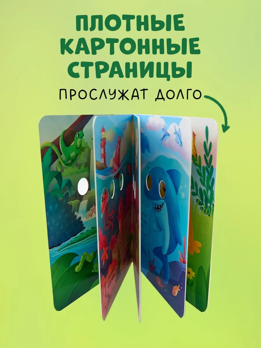 תמונת מוצר 8