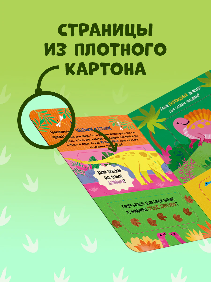 תמונת מוצר 6