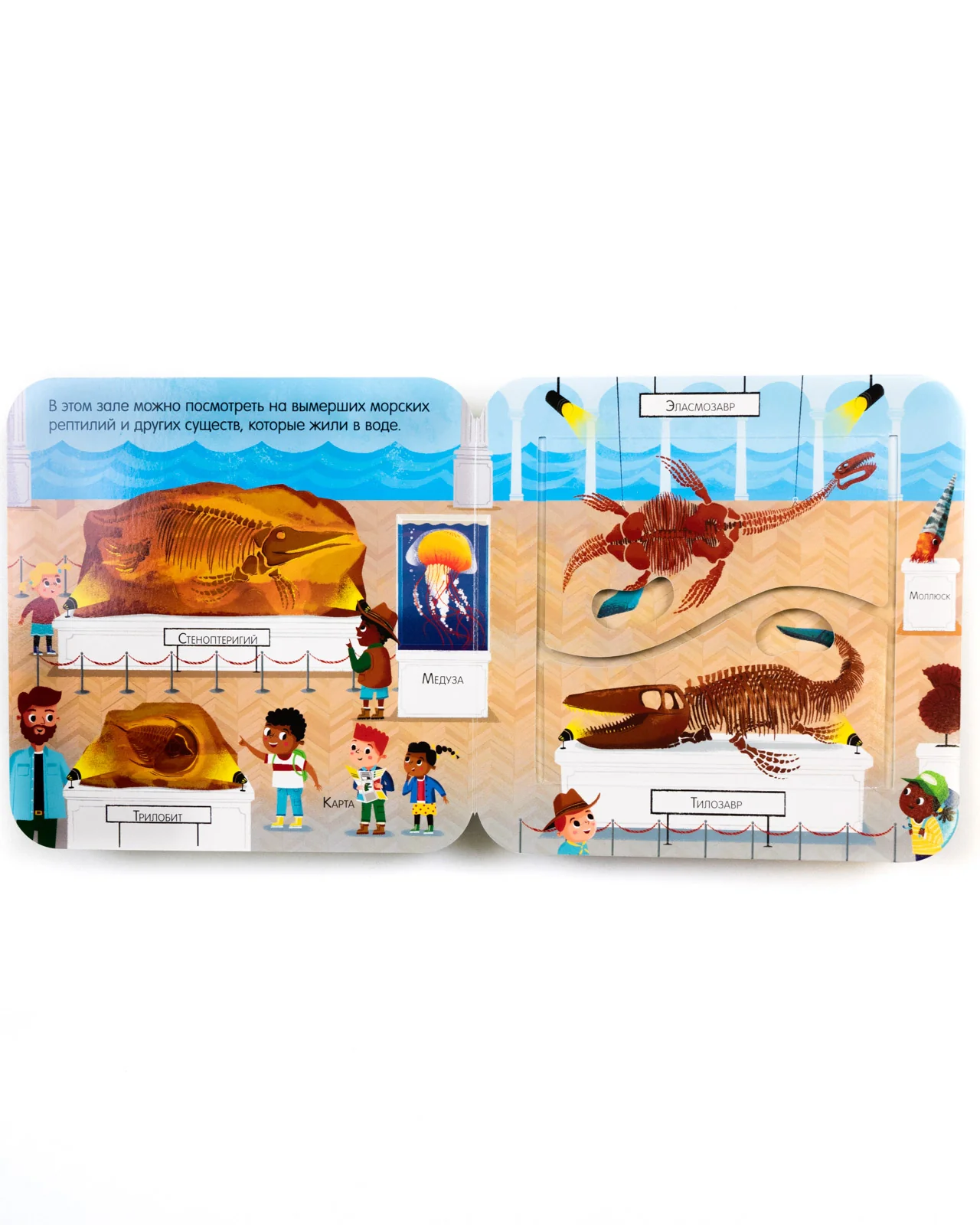 תמונת מוצר 13