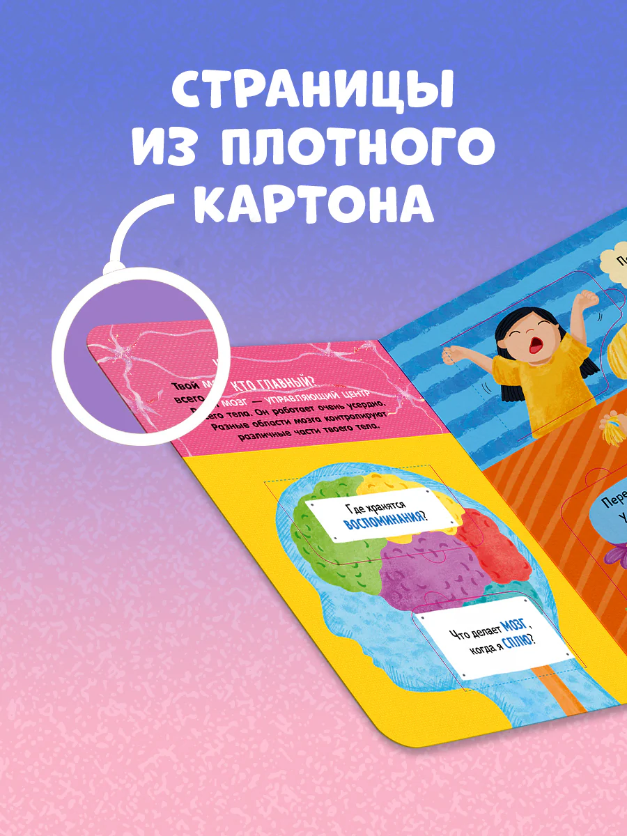 תמונת מוצר 23