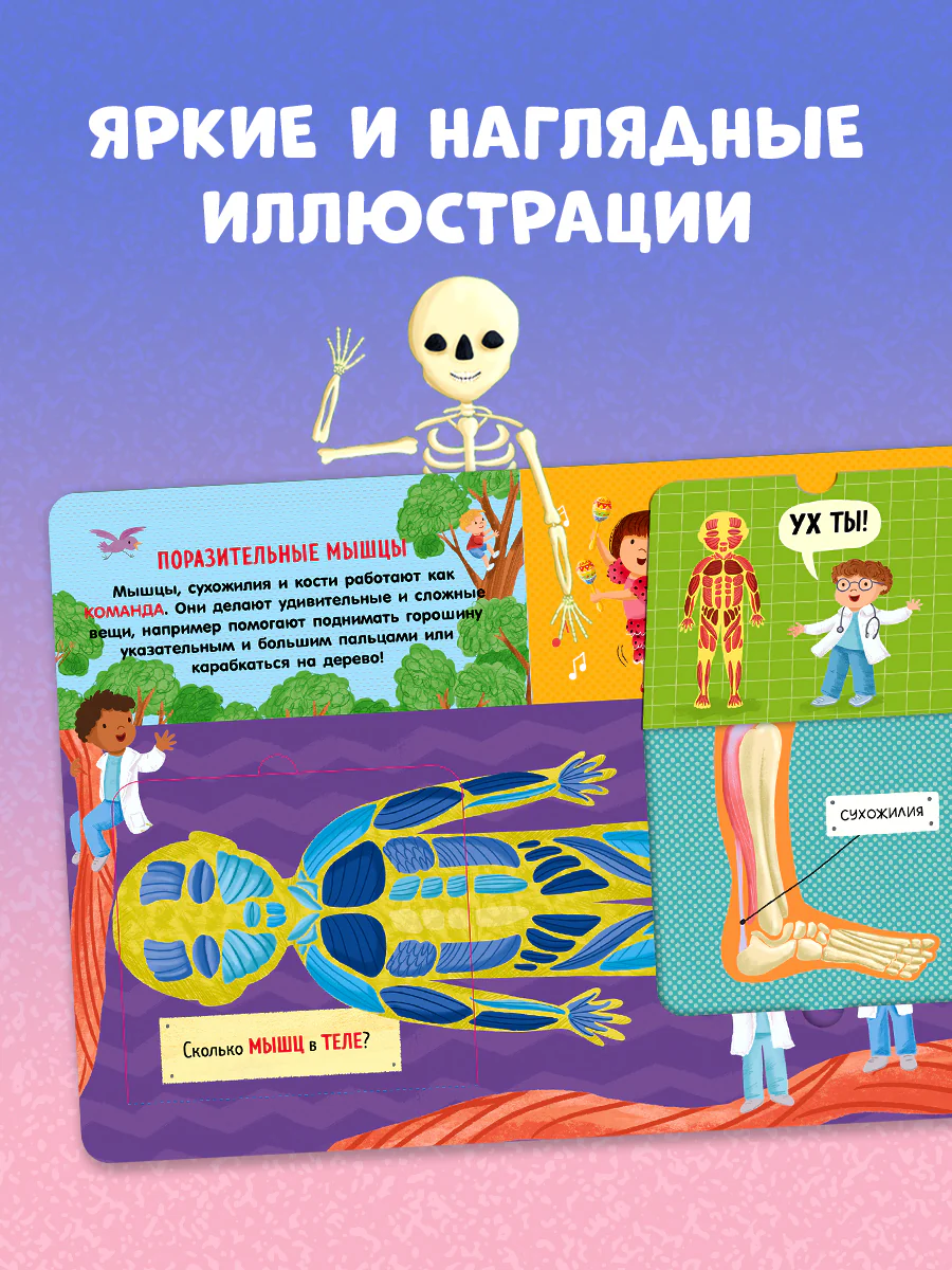 תמונת מוצר 5