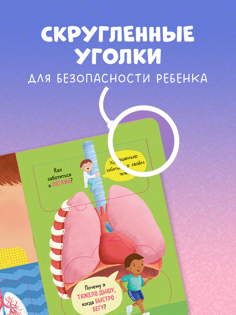 תמונת מוצר 7