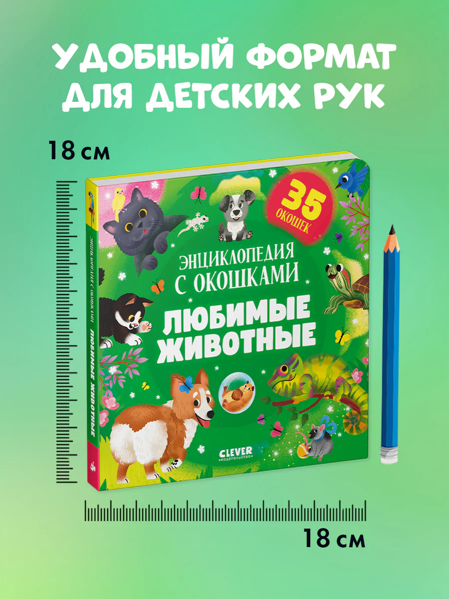 תמונת מוצר 8
