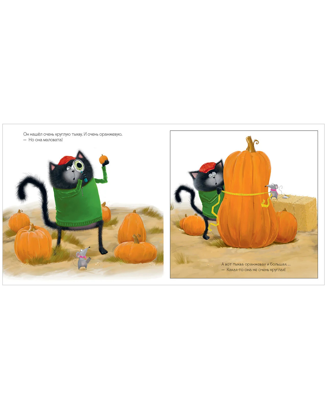 תמונת מוצר 14