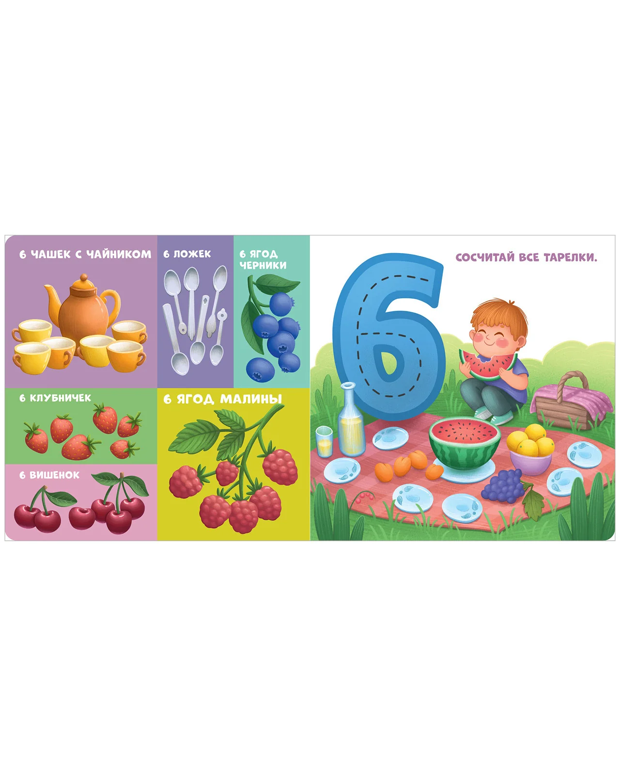 תמונת מוצר 15
