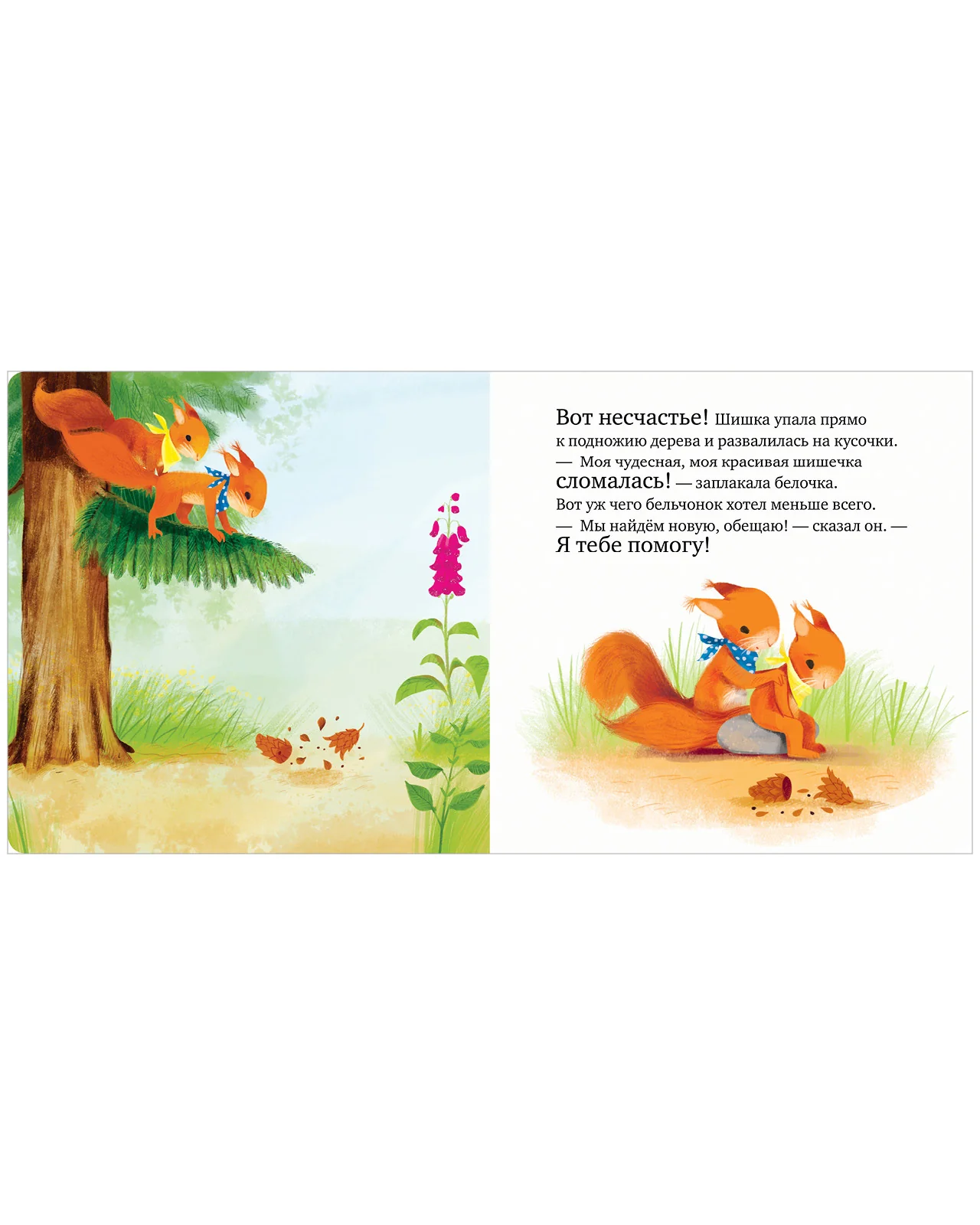 תמונת מוצר 17