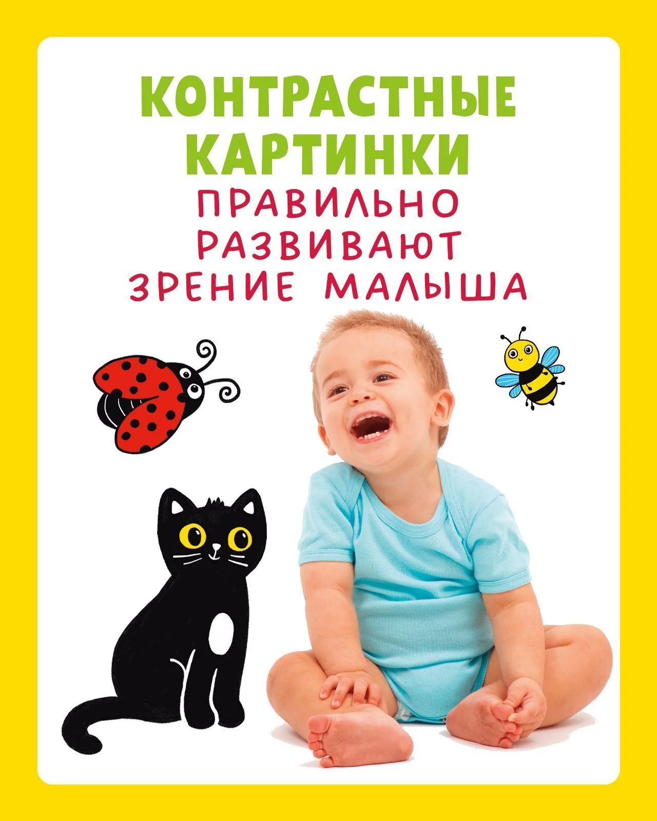 תמונת מוצר 13