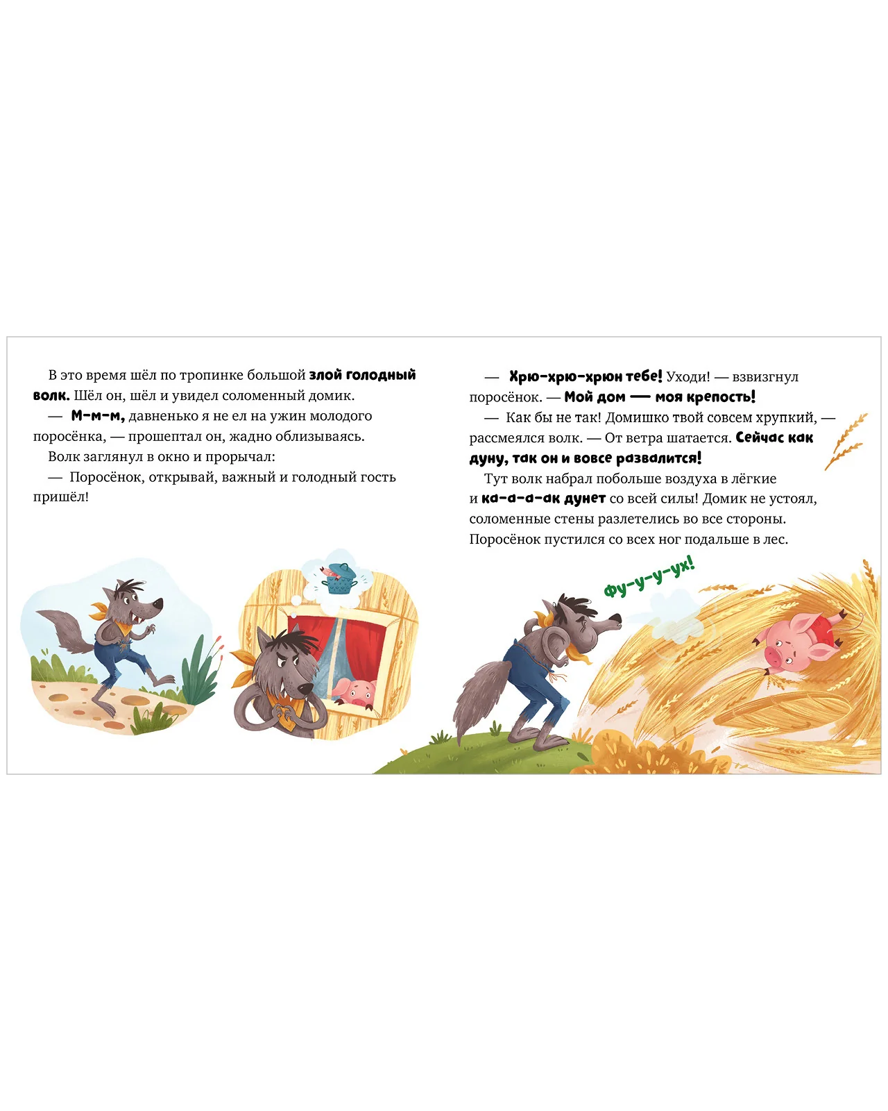 תמונת מוצר 10