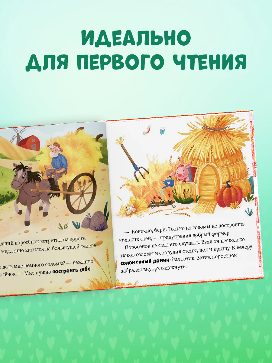 תמונת מוצר 3
