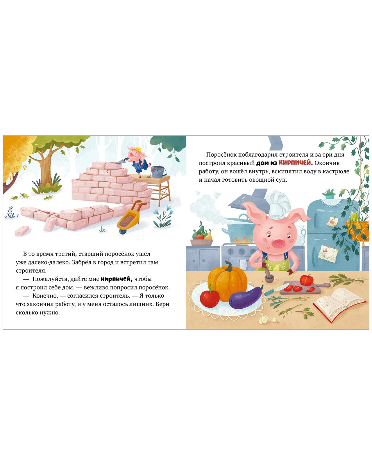 תמונת מוצר 15