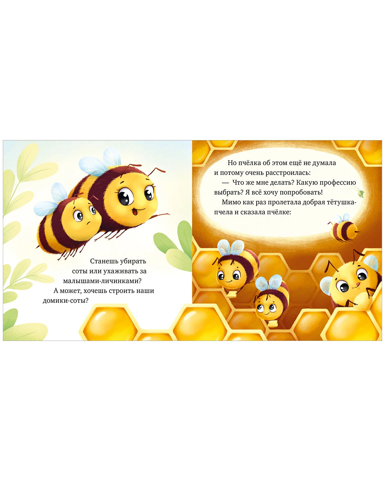 תמונת מוצר 13
