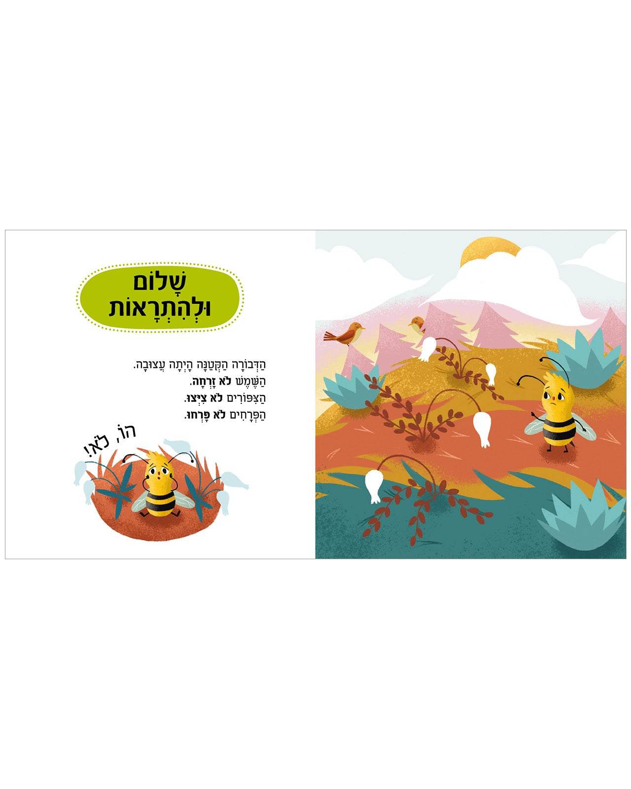 תמונת מוצר 3
