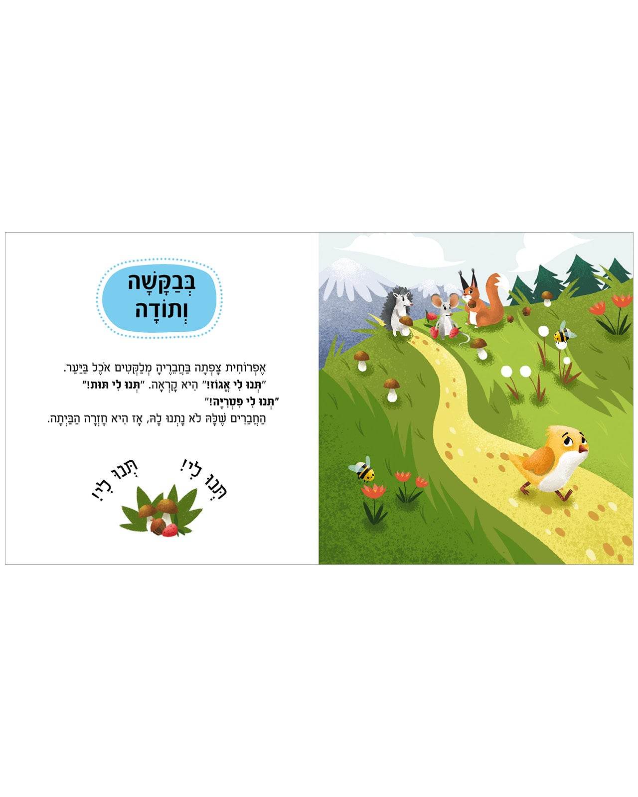 תמונת מוצר 5