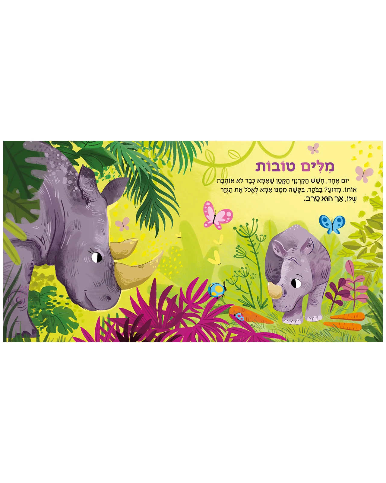 תמונת מוצר 4
